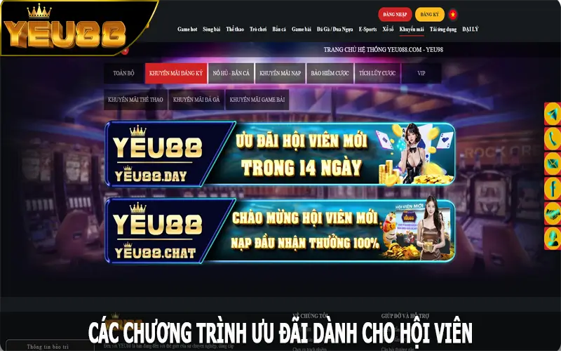 Các chương trình ưu đãi dành cho hội viên