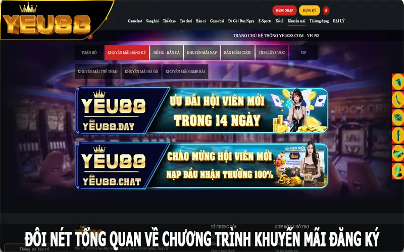 Đôi nét tổng quan về chương trình khuyến mãi đăng ký