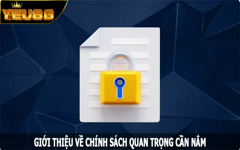 Giới thiệu về chính sách quan trọng cần nắm tại Yeu88