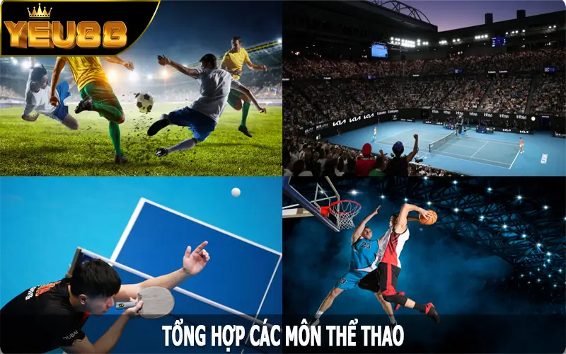 Tổng hợp các môn thể thao Yeu88 yêu thích nhất